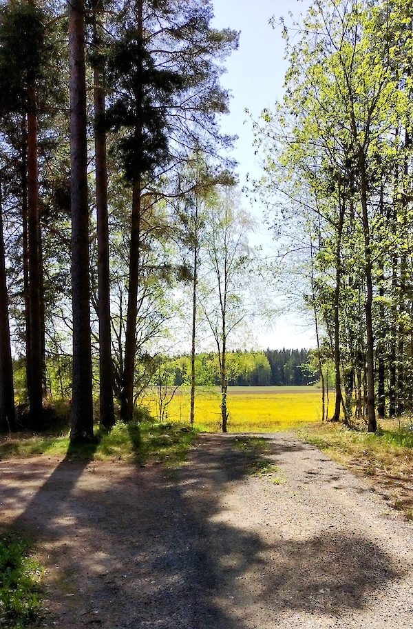 Kuvituskuva