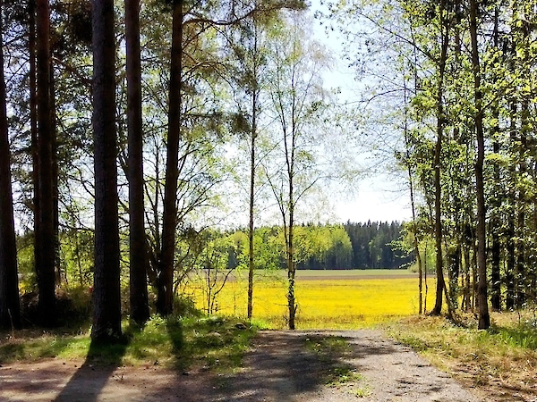 Kuvituskuva