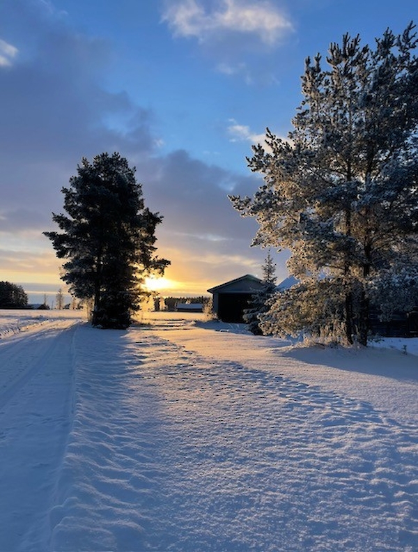 Kuvituskuva