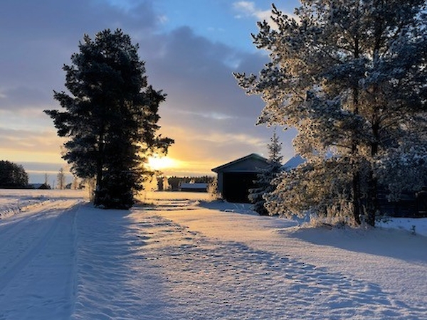 Kuvituskuva