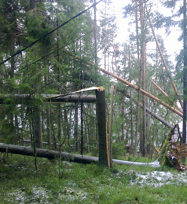 Kuvituskuva