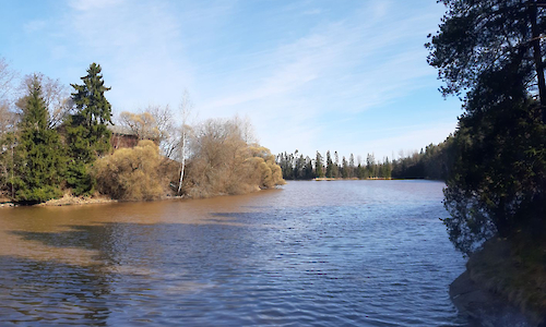 Kuvituskuva