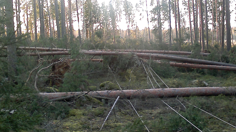 Kuvituskuva