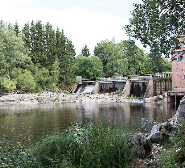 Kuvituskuva